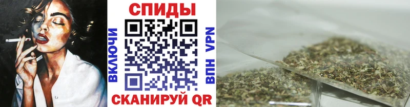 Купить где  Южно-Сухокумск  Бутират BDO 